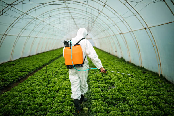 Best Local Pest Control Services  in Whitfield, PA