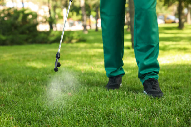 Best Residential Pest Control  in Whitfield, PA