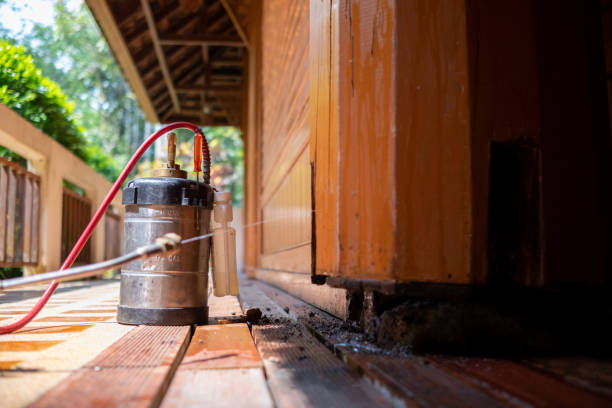 Best Best Pest Control Companies  in Whitfield, PA